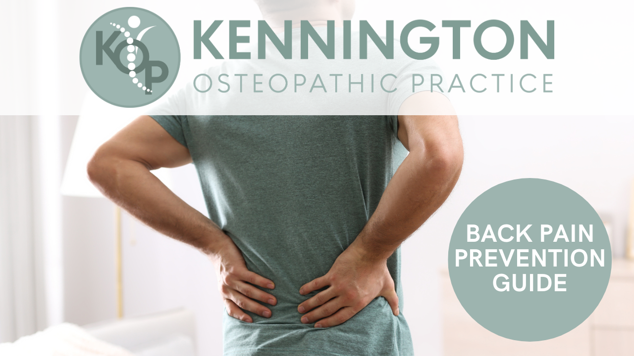 Picture of Back Pain Prevention Guide - Top Tips For All